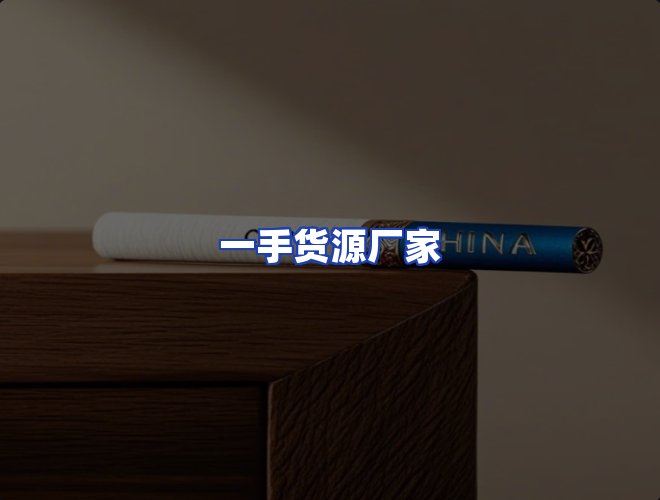 专业团队